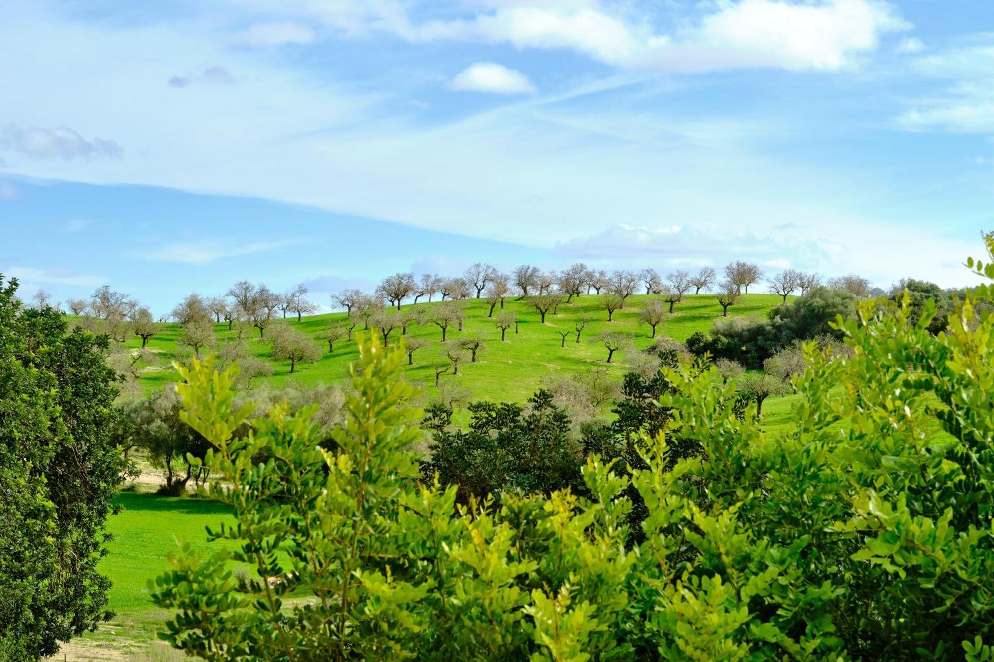 Finca Sa Bastida Luxury Retreat & Spa Adults Only Sant Joan Exterior foto