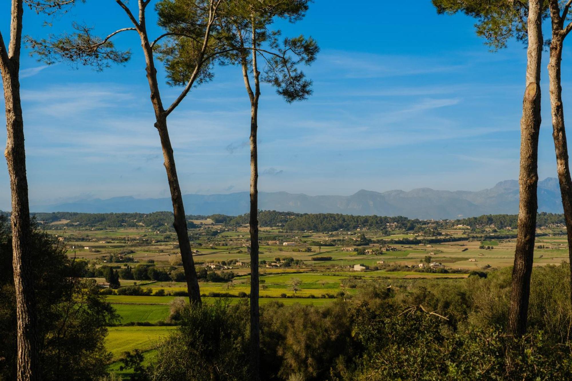 Finca Sa Bastida Luxury Retreat & Spa Adults Only Sant Joan Exterior foto